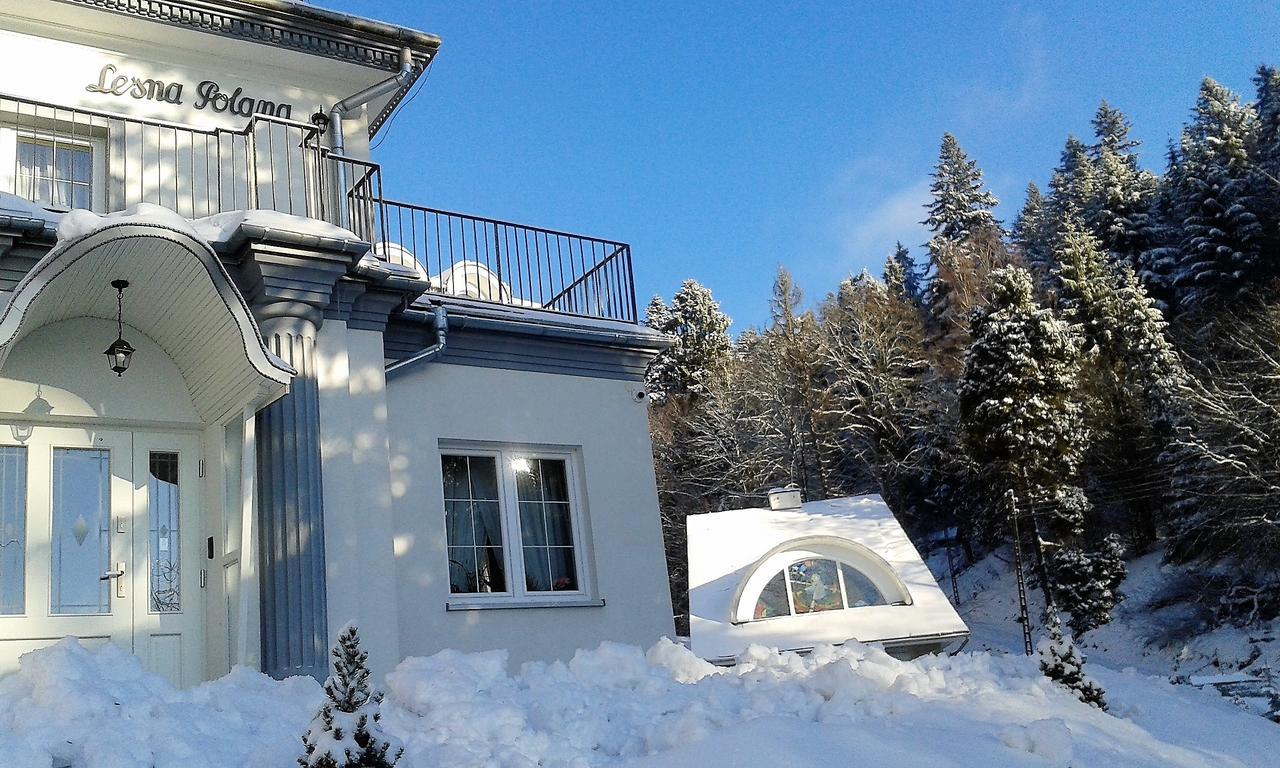 Lesna Polana- Blisko Centrum, Mini Spa, Cicha, Spokojna Okolica, Parking Gratis Krynica Zdroj Bagian luar foto