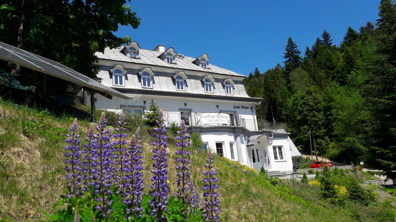 Lesna Polana- Blisko Centrum, Mini Spa, Cicha, Spokojna Okolica, Parking Gratis Krynica Zdroj Bagian luar foto